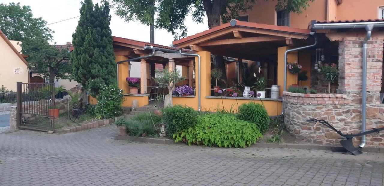 Hotel Und Pension Al Dente Nunchritz Buitenkant foto